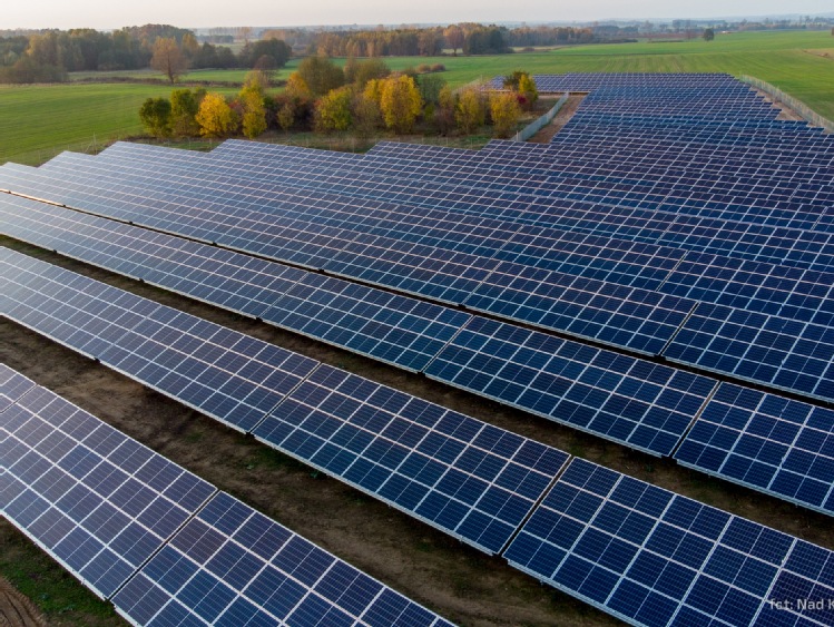 Green Genius zainwestuje ponad 100 milionów euro w budowę parków fotowoltaicznych w Polsce